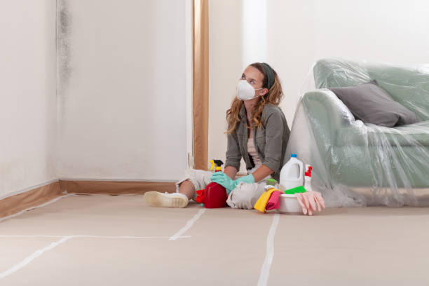 Reliable Black Mold Remediation contractor in Belmont, NC by Mold Remediation HQ